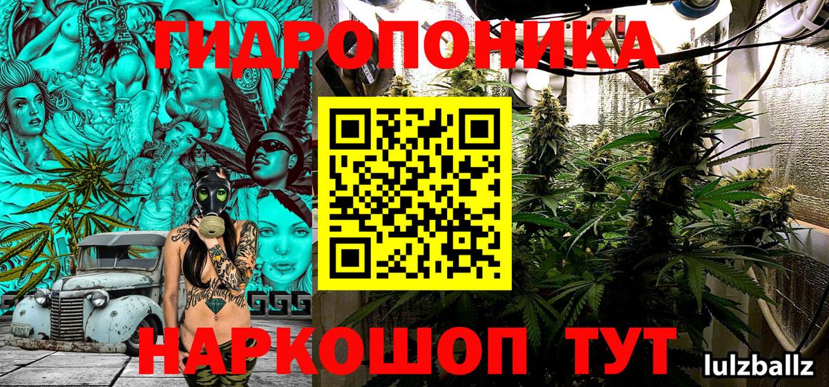 Бошки Шишки план Ульяновск